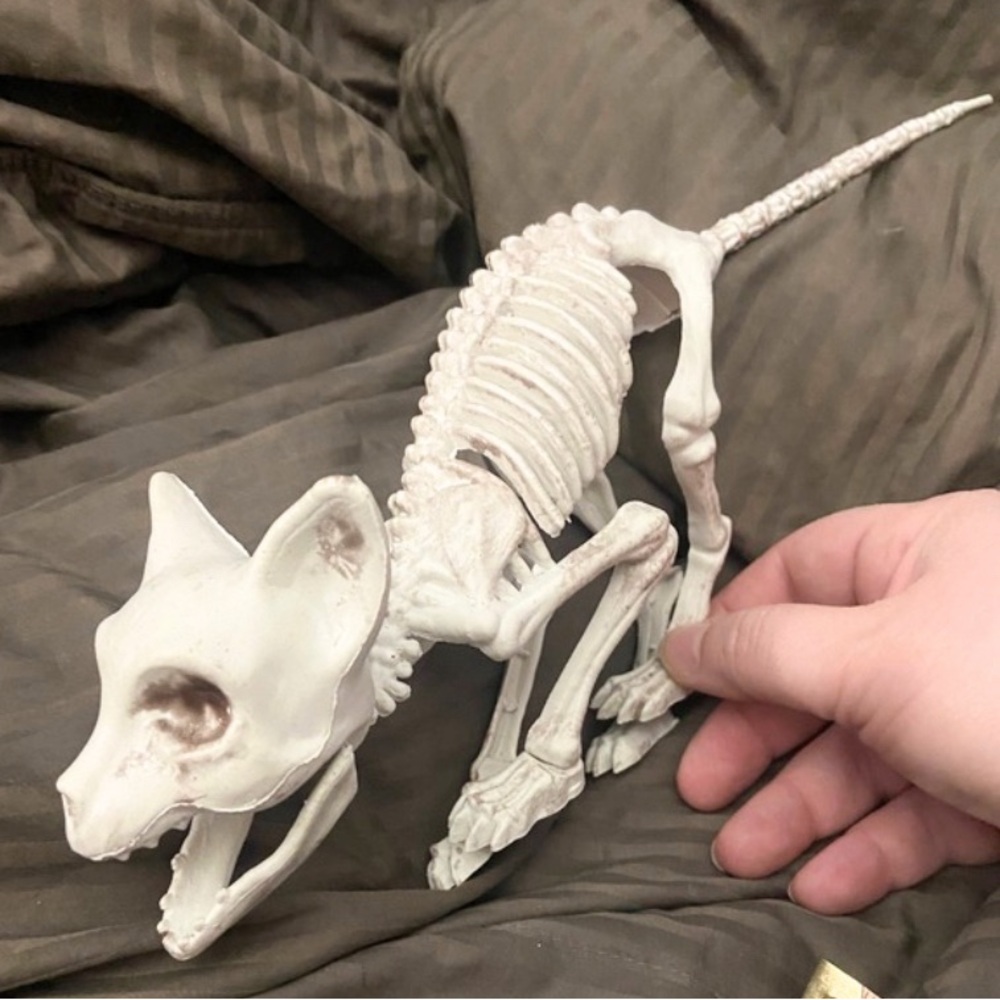 Decor Halloween Skeleton Cat Decoration Spooky Goth Punk Skull Bones Statue